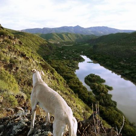 River View Cottages Calitzdorp Ngoại thất bức ảnh