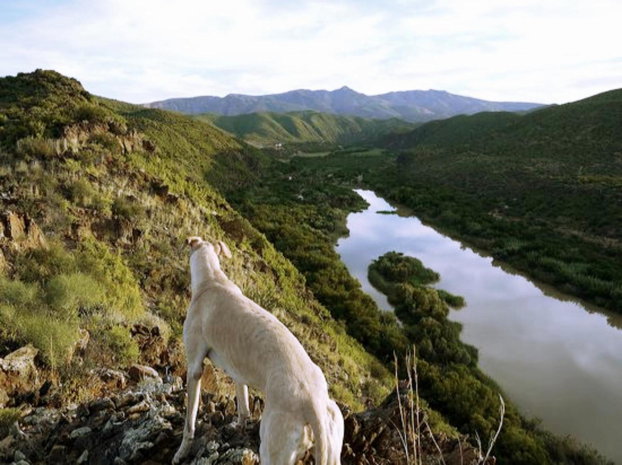 River View Cottages Calitzdorp Ngoại thất bức ảnh